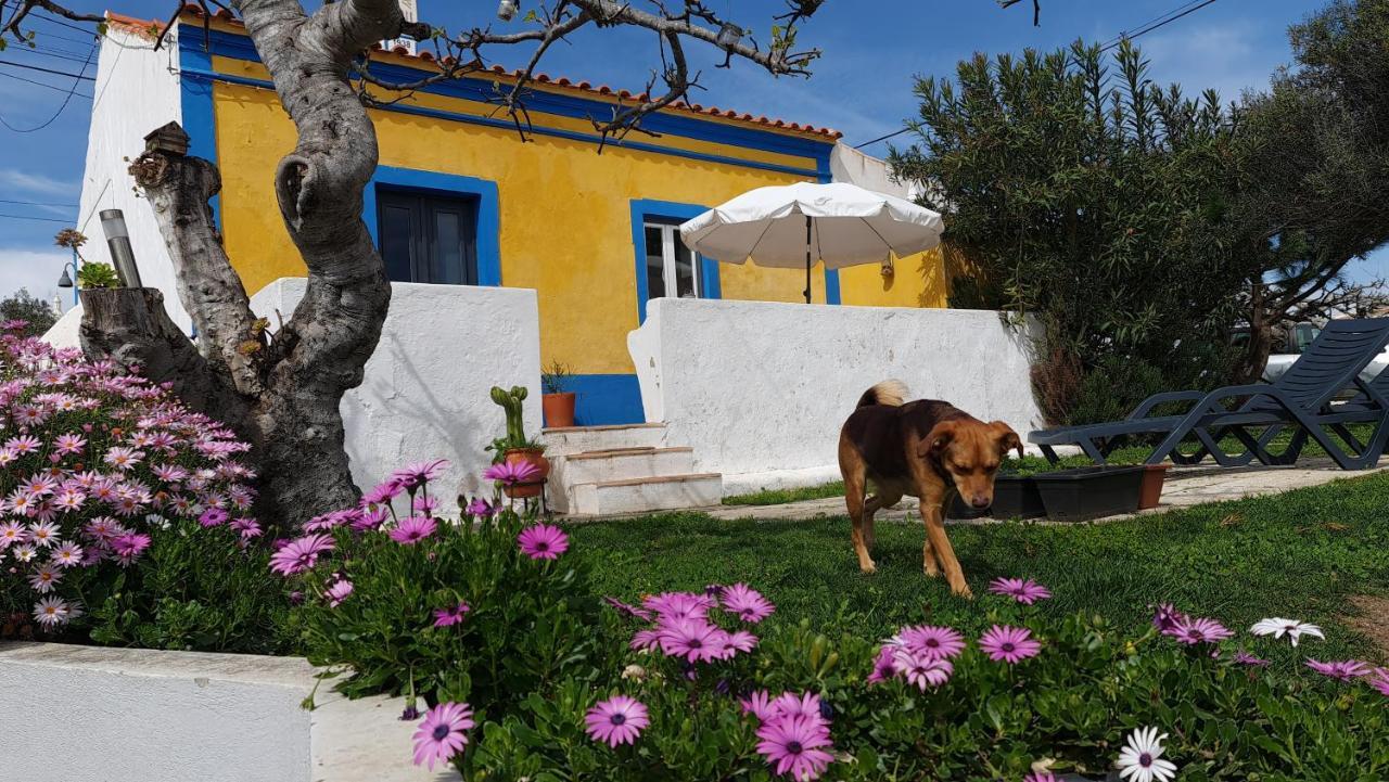 Monte Da Ti Luzia Ferienhaus